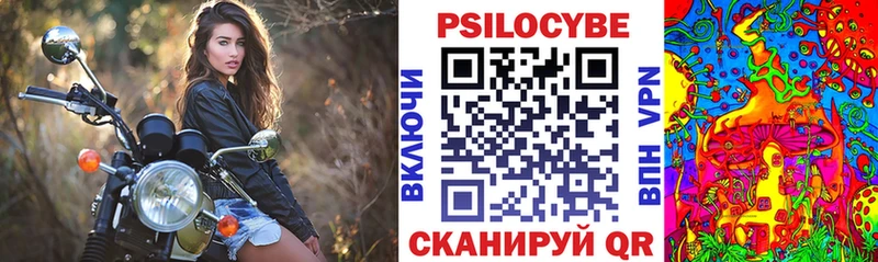 что такое   Артёмовский  Псилоцибиновые грибы Psilocybe 